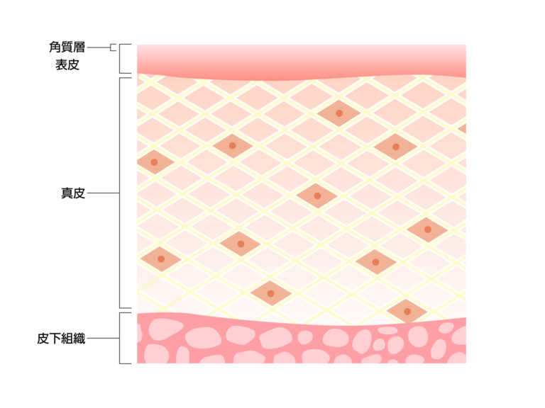 ibrowen-fig-skin.jpg
