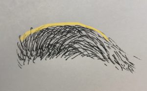 ibrowen-column-201903-08.jpg