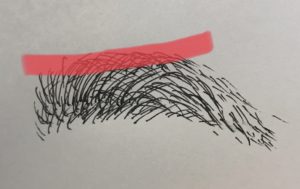 ibrowen-column-201903-09.jpg